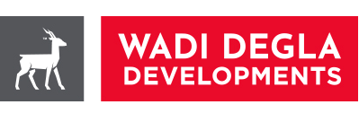 Developer Logo