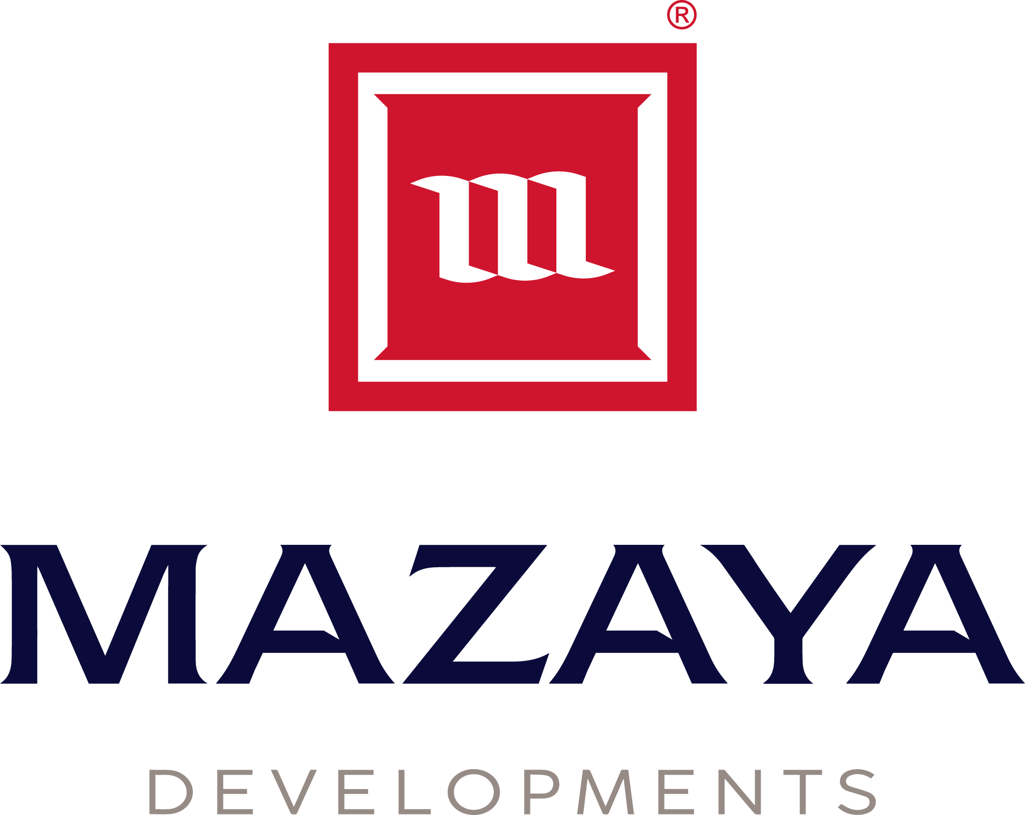 Developer Logo